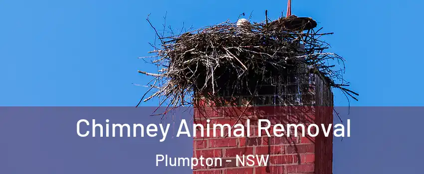 Chimney Animal Removal Plumpton - NSW