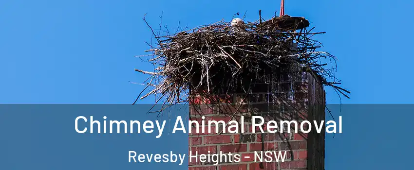 Chimney Animal Removal Revesby Heights - NSW