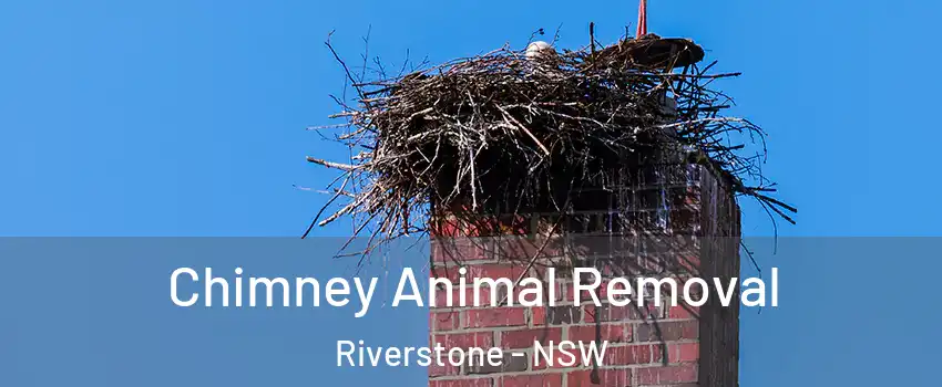 Chimney Animal Removal Riverstone - NSW