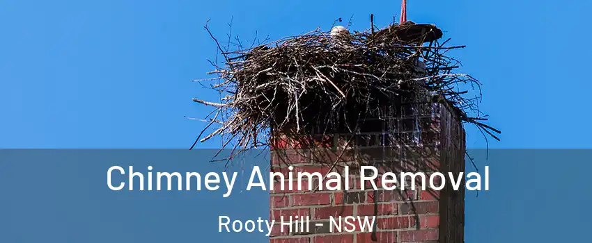 Chimney Animal Removal Rooty Hill - NSW