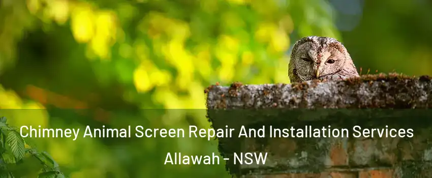 Chimney Animal Screen Repair And Installation Services Allawah - NSW