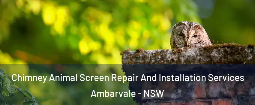 Chimney Animal Screen Repair And Installation Services Ambarvale - NSW