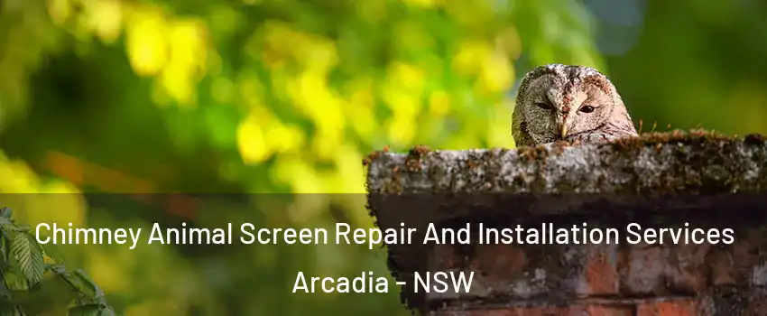 Chimney Animal Screen Repair And Installation Services Arcadia - NSW