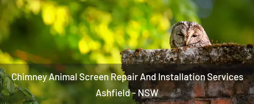Chimney Animal Screen Repair And Installation Services Ashfield - NSW