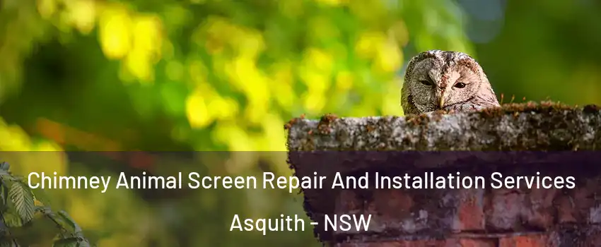Chimney Animal Screen Repair And Installation Services Asquith - NSW
