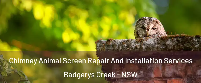 Chimney Animal Screen Repair And Installation Services Badgerys Creek - NSW
