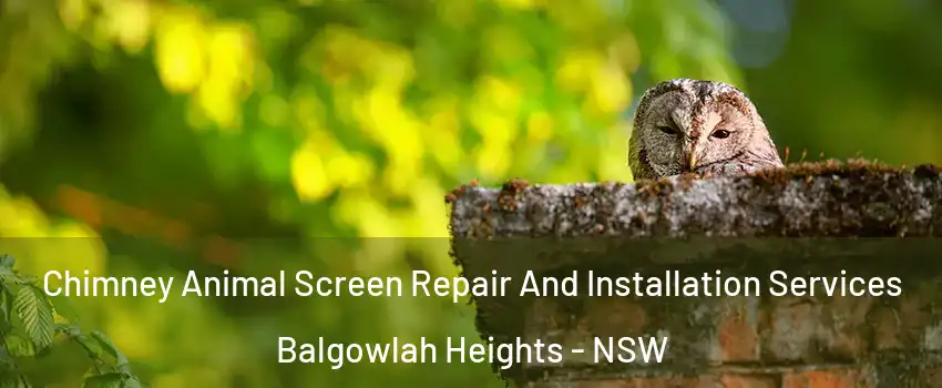 Chimney Animal Screen Repair And Installation Services Balgowlah Heights - NSW