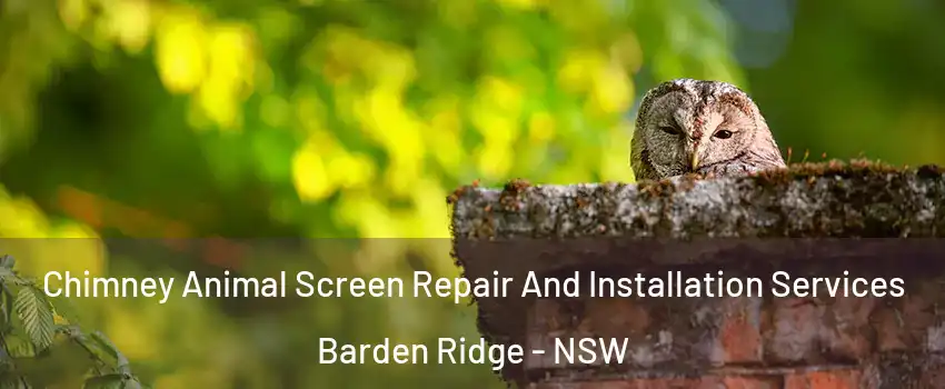 Chimney Animal Screen Repair And Installation Services Barden Ridge - NSW