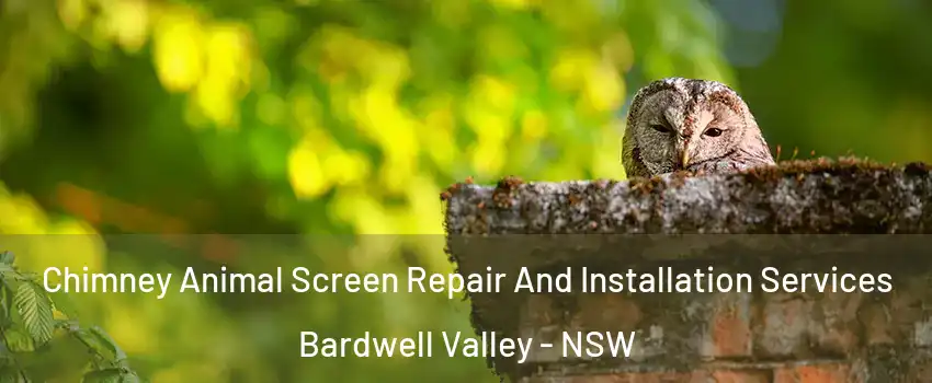 Chimney Animal Screen Repair And Installation Services Bardwell Valley - NSW
