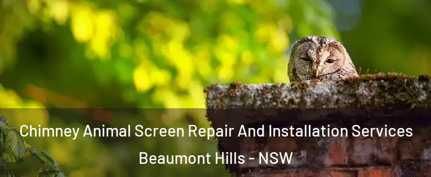 Chimney Animal Screen Repair And Installation Services Beaumont Hills - NSW