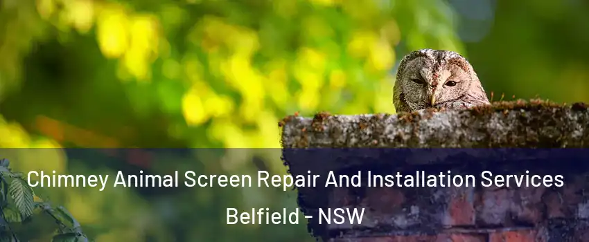 Chimney Animal Screen Repair And Installation Services Belfield - NSW