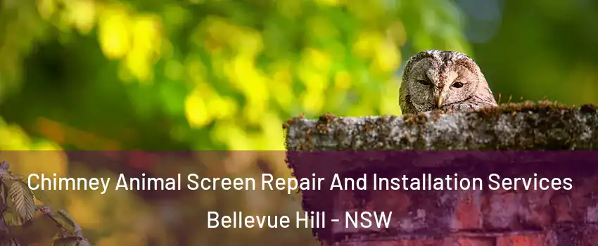 Chimney Animal Screen Repair And Installation Services Bellevue Hill - NSW