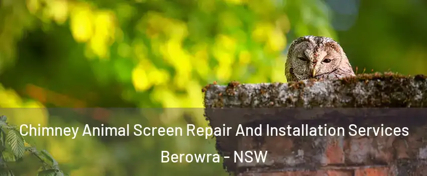  Chimney Animal Screen Repair And Installation Services Berowra - NSW