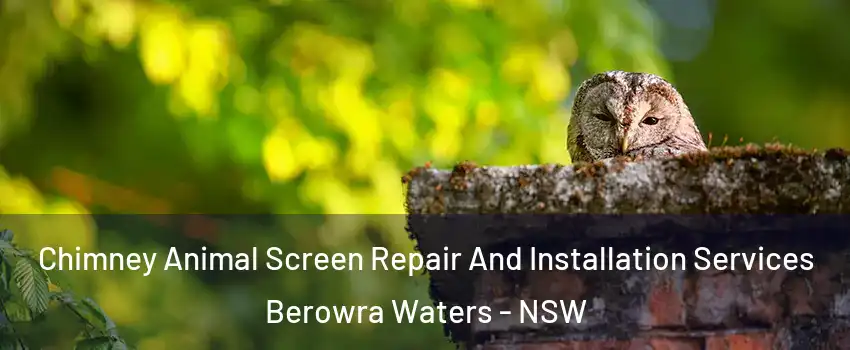 Chimney Animal Screen Repair And Installation Services Berowra Waters - NSW
