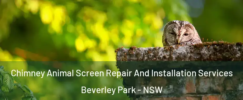 Chimney Animal Screen Repair And Installation Services Beverley Park - NSW