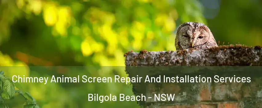 Chimney Animal Screen Repair And Installation Services Bilgola Beach - NSW