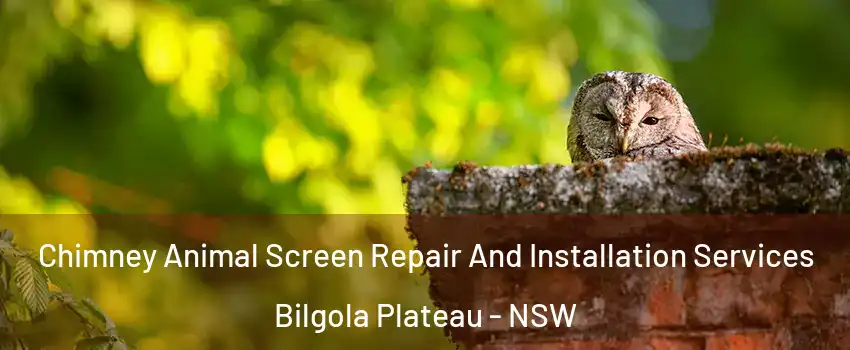 Chimney Animal Screen Repair And Installation Services Bilgola Plateau - NSW