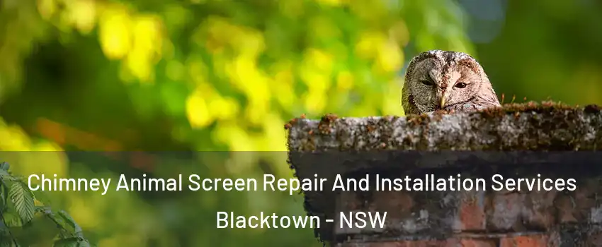  Chimney Animal Screen Repair And Installation Services Blacktown - NSW