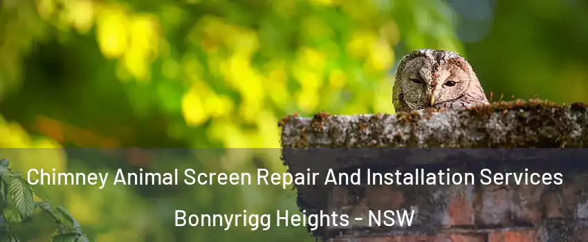 Chimney Animal Screen Repair And Installation Services Bonnyrigg Heights - NSW