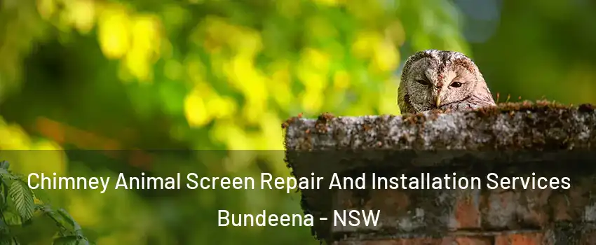 Chimney Animal Screen Repair And Installation Services Bundeena - NSW