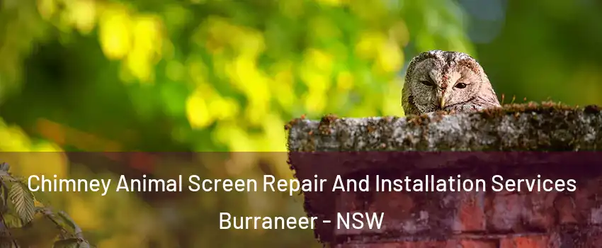 Chimney Animal Screen Repair And Installation Services Burraneer - NSW