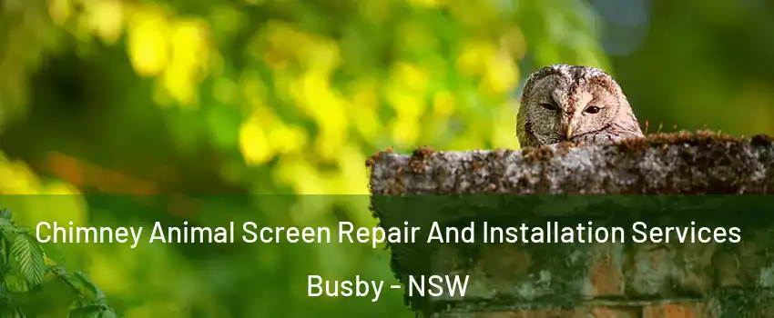 Chimney Animal Screen Repair And Installation Services Busby - NSW