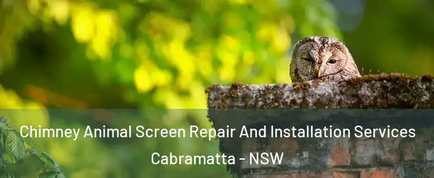 Chimney Animal Screen Repair And Installation Services Cabramatta - NSW