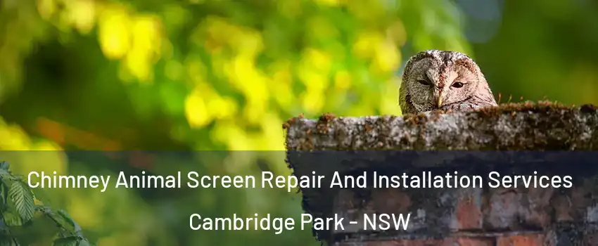 Chimney Animal Screen Repair And Installation Services Cambridge Park - NSW