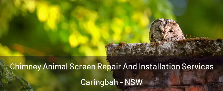 Chimney Animal Screen Repair And Installation Services Caringbah - NSW