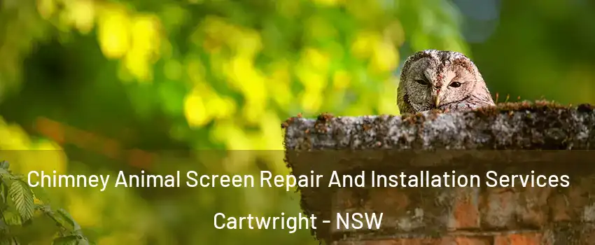 Chimney Animal Screen Repair And Installation Services Cartwright - NSW