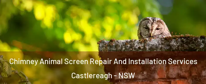 Chimney Animal Screen Repair And Installation Services Castlereagh - NSW