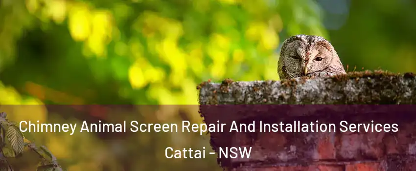 Chimney Animal Screen Repair And Installation Services Cattai - NSW