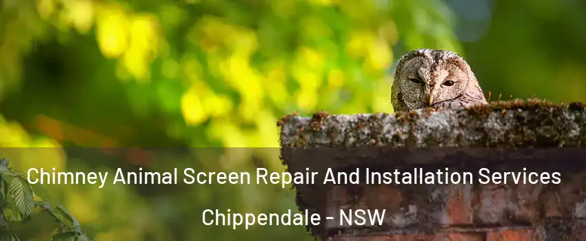 Chimney Animal Screen Repair And Installation Services Chippendale - NSW