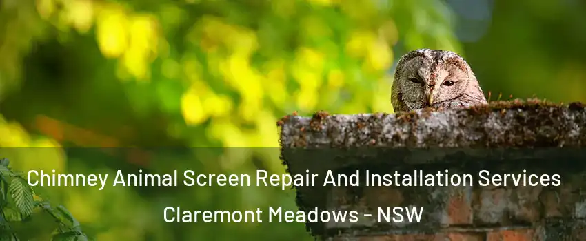 Chimney Animal Screen Repair And Installation Services Claremont Meadows - NSW