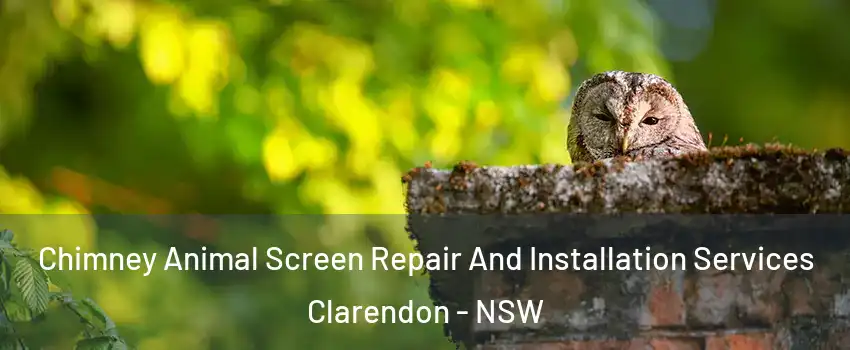 Chimney Animal Screen Repair And Installation Services Clarendon - NSW