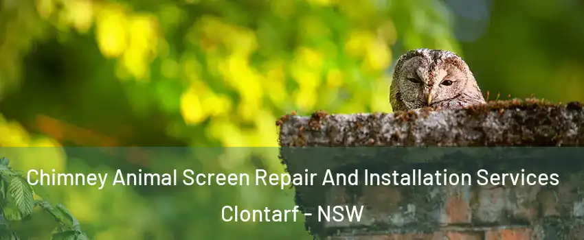 Chimney Animal Screen Repair And Installation Services Clontarf - NSW