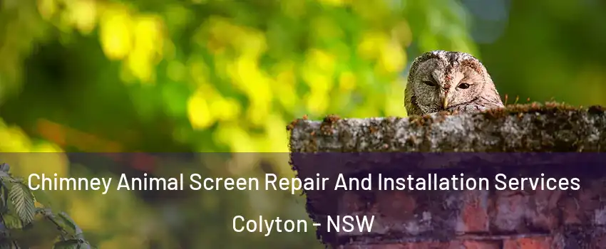 Chimney Animal Screen Repair And Installation Services Colyton - NSW