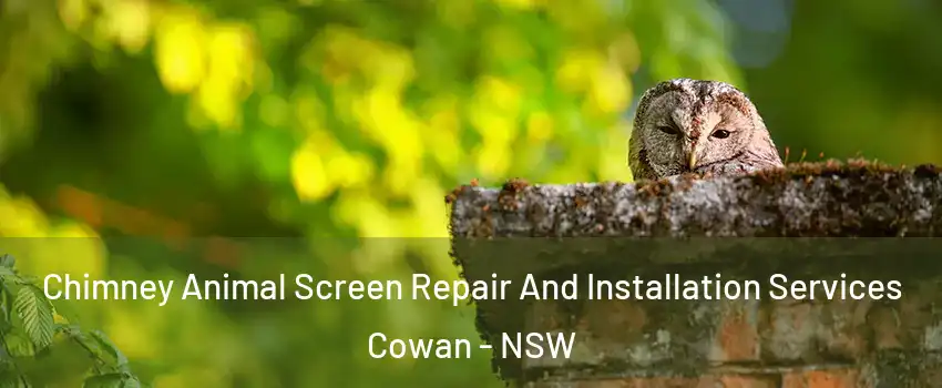 Chimney Animal Screen Repair And Installation Services Cowan - NSW