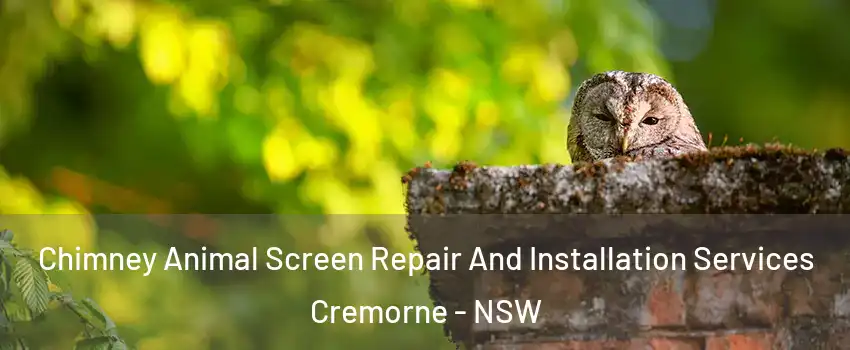 Chimney Animal Screen Repair And Installation Services Cremorne - NSW