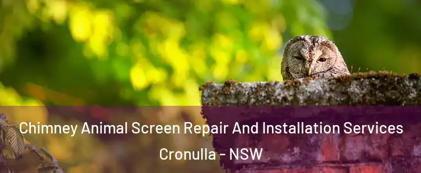 Chimney Animal Screen Repair And Installation Services Cronulla - NSW