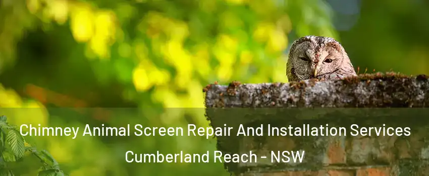 Chimney Animal Screen Repair And Installation Services Cumberland Reach - NSW