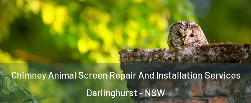 Chimney Animal Screen Repair And Installation Services Darlinghurst - NSW