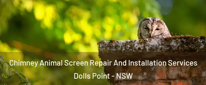Chimney Animal Screen Repair And Installation Services Dolls Point - NSW