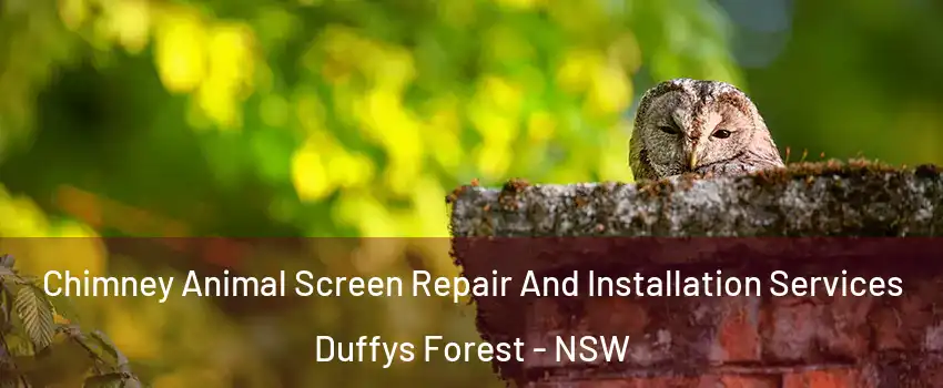 Chimney Animal Screen Repair And Installation Services Duffys Forest - NSW