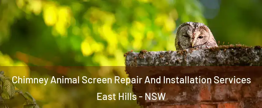 Chimney Animal Screen Repair And Installation Services East Hills - NSW