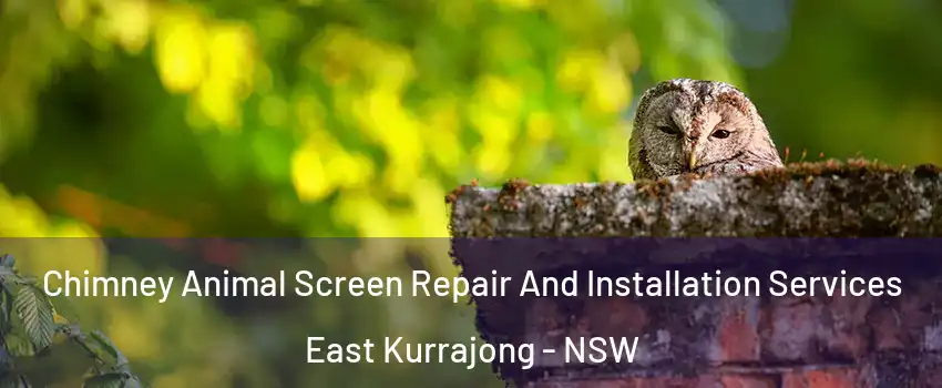 Chimney Animal Screen Repair And Installation Services East Kurrajong - NSW