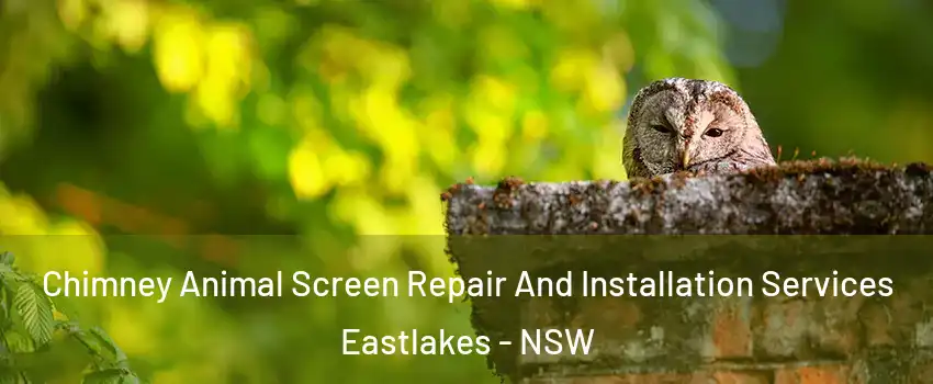 Chimney Animal Screen Repair And Installation Services Eastlakes - NSW