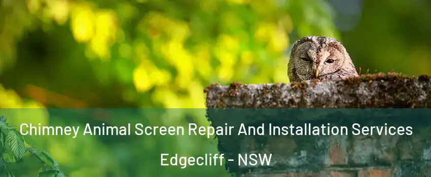 Chimney Animal Screen Repair And Installation Services Edgecliff - NSW
