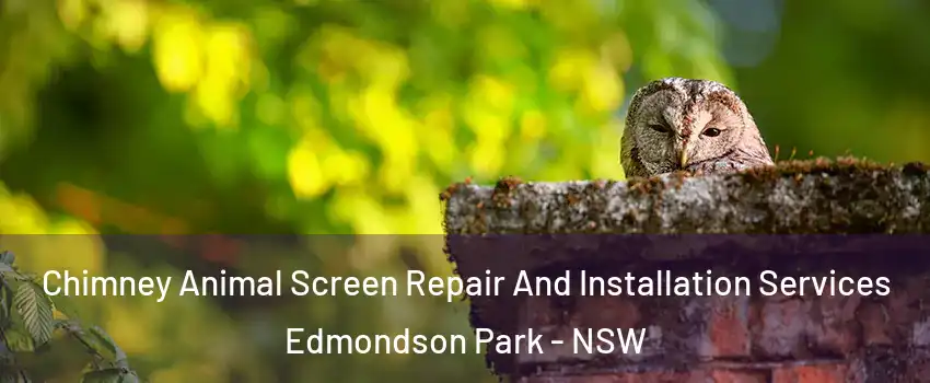 Chimney Animal Screen Repair And Installation Services Edmondson Park - NSW