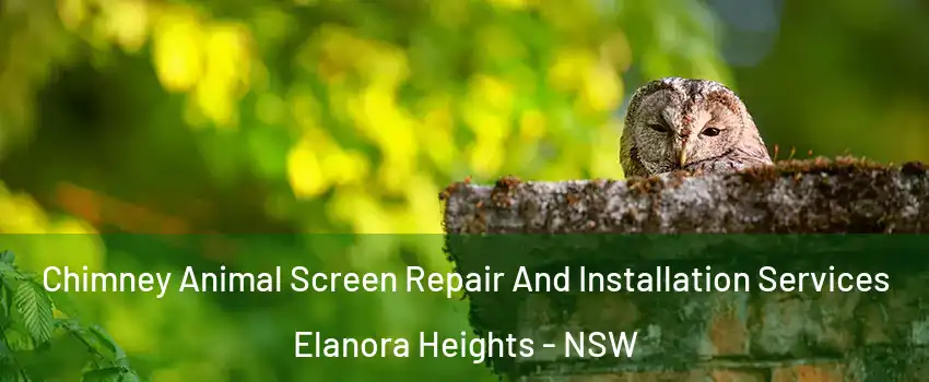 Chimney Animal Screen Repair And Installation Services Elanora Heights - NSW